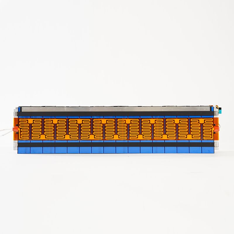 LGNE Battery Module